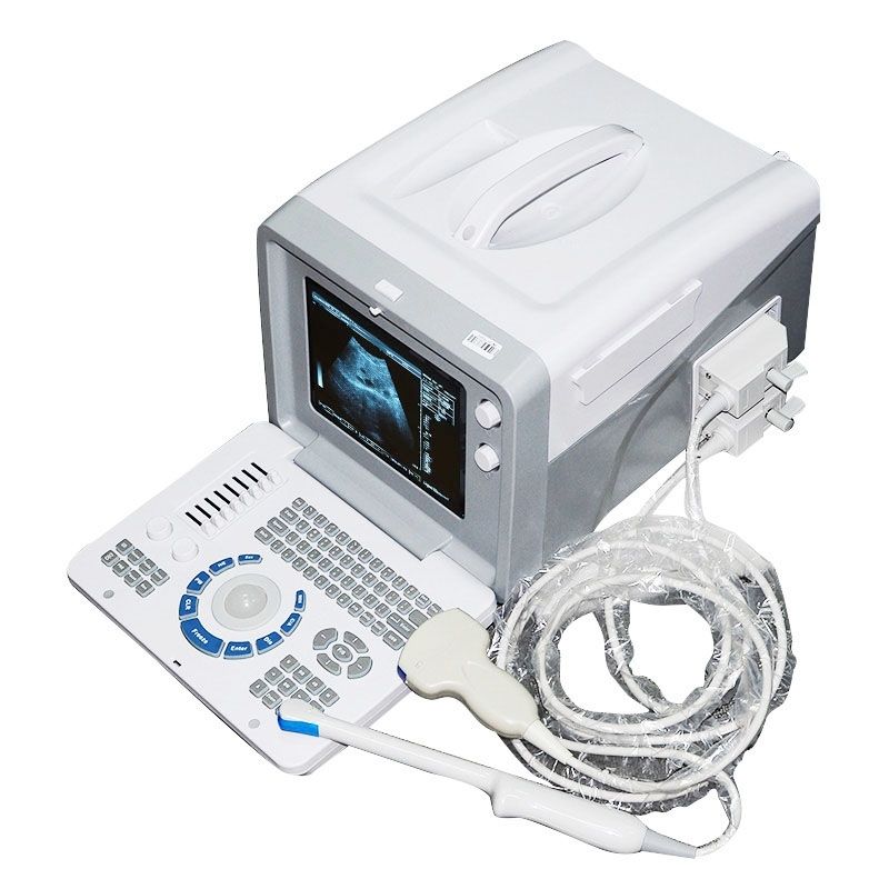 Transvaginal Machine Medical 3D Portable Ultrasound Machine Scanner
