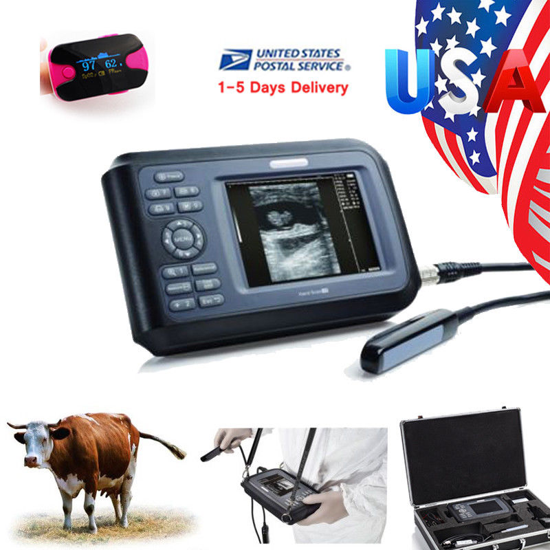 Veterinary Ultrasound Scanner 5.5 inch Machine Unit Rectal Transducer Aminal 190891589125 DIAGNOSTIC ULTRASOUND MACHINES FOR SALE