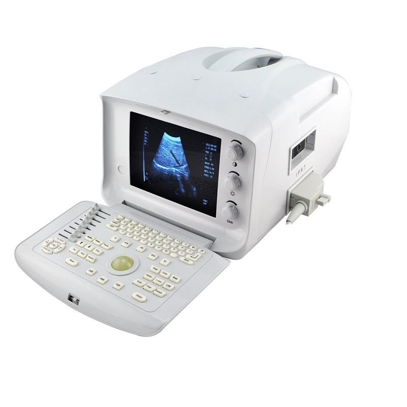USB Port Digital Ultrasonic Ultrasound Scanner Convex +Transvaginal 2 Probe Sale DIAGNOSTIC ULTRASOUND MACHINES FOR SALE